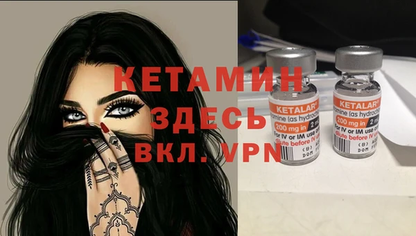 сатива Гусь-Хрустальный
